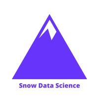 Snow Data Science logo - Similar company to Code4Sure