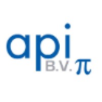 api bv logo - Similar company to Globility Connect