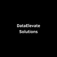 DataElevate Solutions logo - Similar company to Red Impacta Data