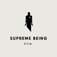 Supreme Being logo - Similar company to Planet At Service