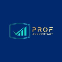 Prof Accountant logo - Similar company to Expert Zone - Business Consulting