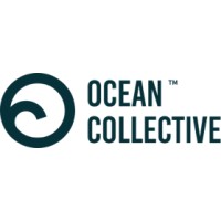 Ocean Collective logo - Similar company to Management Creative