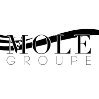 Mole Groupe logo - Similar company to Kaktus Solutions
