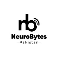 NeuroBytes Pakistan logo - Similar company to Solarwork Solution