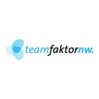 TeamFaktor NW GmbH logo - Similar company to Moanet