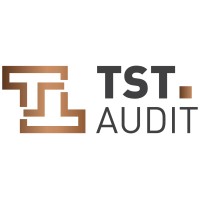 TST AUDIT LIMITED logo - Similar company to Audit Fusion Network