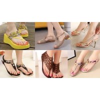 Stylo Shoes