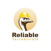 Reliable Terrestrials logo - Similar company to Pm Projects & Services Pvt Ltd
