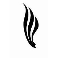 Celticwing Consulting