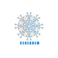 Cerebrem Analytics logo - Similar company to Flitchr
