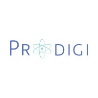 Prodigi, LLC logo - Similar company to Prodigi Technology Services Limited