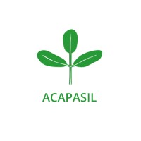 ACAPASIL logo - Similar company to Niños Con Cáncer Pequeño Valiente