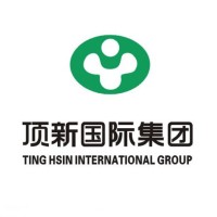 Ting Hsin Technology Co. logo - Similar company to Tinghsin Int'L Group