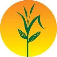 Healthy Harvest Food Bank logo - Similar company to Lancaster Community Library