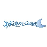 Calypso Cruises logo - Similar company to Daintree Rainforest Tours