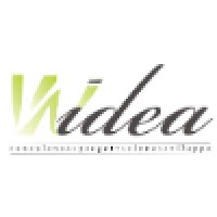 Widea Consulting Projecting Developing