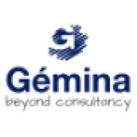 Gemina Beyond Consultancy logo - Similar company to Grosa Packs