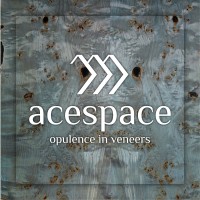 Acespace - Opulence in veneers logo - Similar company to Blion