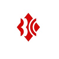 Berlin Capital Club logo - Similar company to Nikсode