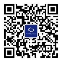 垂衣Champzee logo - Similar company to Dwella, Inc.