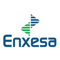 ENXESA logo - Similar company to Control Tech Sa De Cv