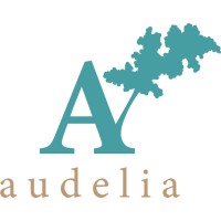 Audelia d.o.o. logo - Similar company to Helios Electron