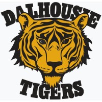 Dalplex logo - Similar company to Cubesatnb