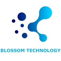 Blossom Tech logo - Similar company to Brite Advice Ltd