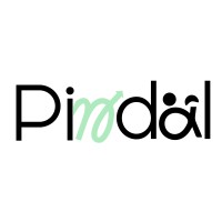 Pindal logo - Similar company to Oscargroup Co