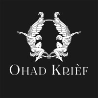 Ohad Krièf logo - Similar company to Ohad Technologies