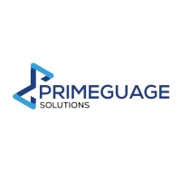 Primeguage Solutions Limited logo - Similar company to Techbaseng