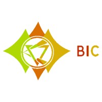 Business Input Consultant Ltd logo - Similar company to Futurepump Ltd