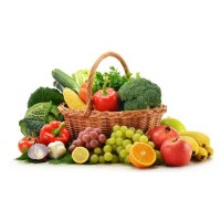 Nutrição