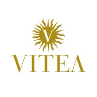 CANTINE VITEA logo - Similar company to Cfc