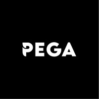 Pega Sports logo - Similar company to Apx Performance