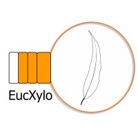EucXylo logo - Similar company to Andermatt-Php (Pty) Ltd