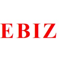 EBIZ Solution Pvt Ltd logo - Similar company to Sheetal Wireless Technologies Private Limited