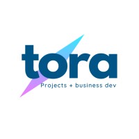 Tora Business Dev logo - Similar company to Lake Cibersecurity
