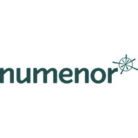 Numenor Consultoria logo - Similar company to Davinci Apps