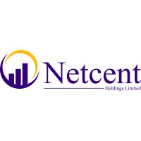 Netcent Holdings logo - Similar company to Turn App Technologies