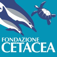 Fondazione Cetacea logo - Similar company to Group For High Resolution Sea Surface Temperature (Ghrsst)