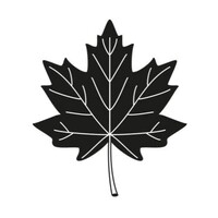 Maple Leaf Education logo - Similar company to Maple Leaf Schools