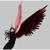 Red Angel logo - Similar company to Singleclick Solutions