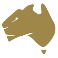 Panther Metals Ltd (ASX:PNT) logo - Similar company to Techgen Metals Limited