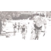 Momentum Strategy Consulting