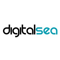 Digital Sea logo - Similar company to Digitalseas