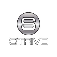 Strive Insurance Group, Inc. logo - Similar company to Rekerdres & Associates