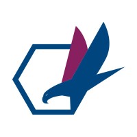Peregrine Connect logo - Similar company to Gradiant Services