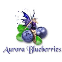 Aurora Blueberries logo - Similar company to Eps Farms