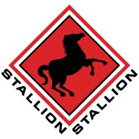Stallion Group logo - Similar company to Ste Sarl